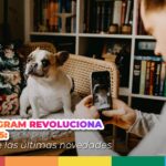 persona tomando foto a perro en Instagram